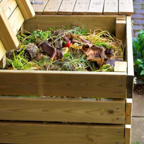 What to Use on the Compost Heap